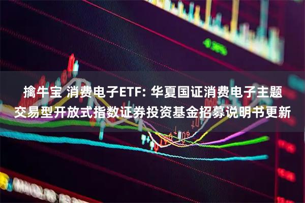 擒牛宝 消费电子ETF: 华夏国证消费电子主题交易型开放式指数证券投资基金招募说明书更新