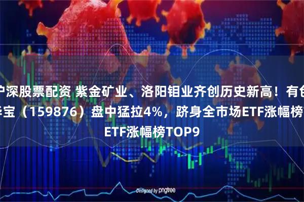 沪深股票配资 紫金矿业、洛阳钼业齐创历史新高！有色ETF华宝（159876）盘中猛拉4%，跻身全市场ETF涨幅榜TOP9