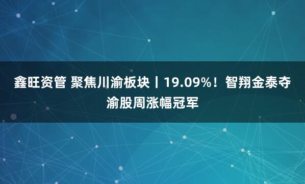 鑫旺资管 聚焦川渝板块丨19.09%！智翔金泰夺渝股周涨幅冠军